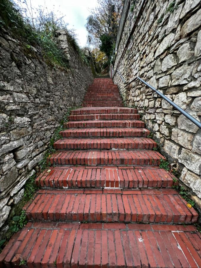 Camera Bellavista Bed & Breakfast Lerici